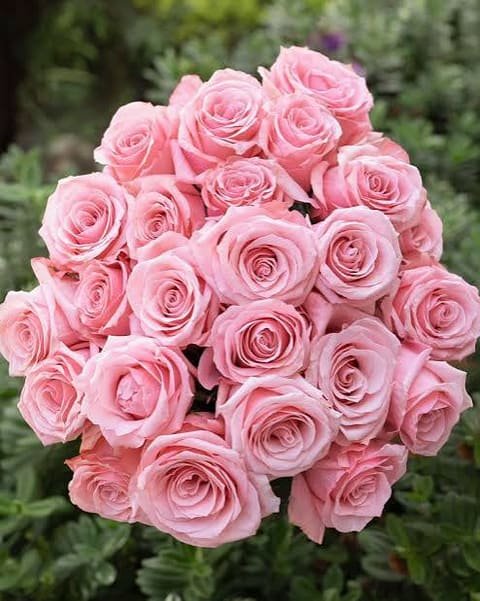 Round bouquet of pink Be Sweet roses