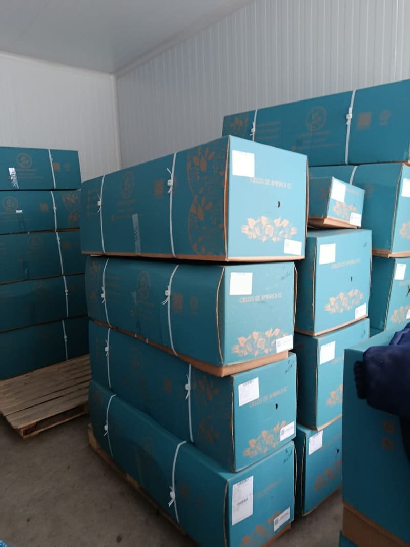 Stacked Cielos de América EC export boxes ready for shipping