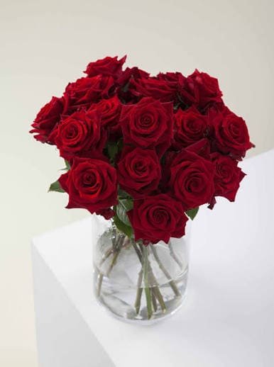 Bouquet of red Explorer roses in a glass vase