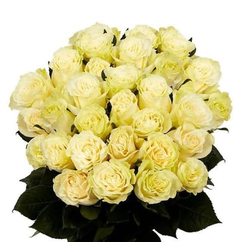 Large bouquet of white Mondial roses