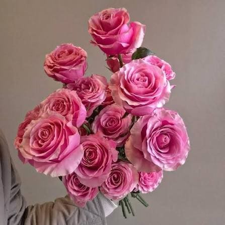 Hand holding a bouquet of pink Sweet Spot roses