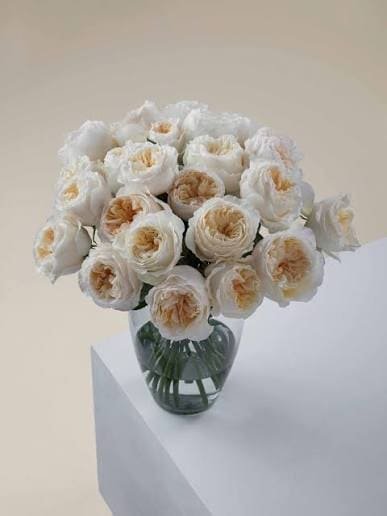Bouquet of white Vicky roses in a glass vase